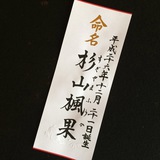 命名書