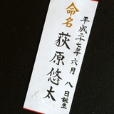 命名書