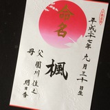 命名書