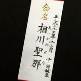 命名書