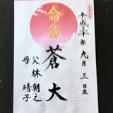 命名書