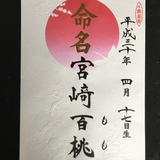 命名書