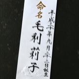 命名書