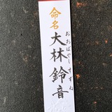 命名書