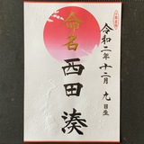 命名書