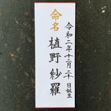 命名書
