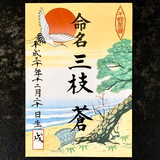 命名書