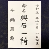 命名書