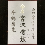 命名書