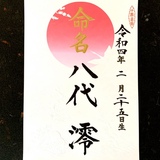 命名書