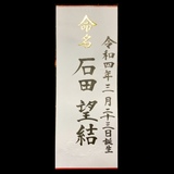 命名書