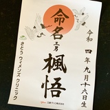 命名書