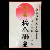 命名書