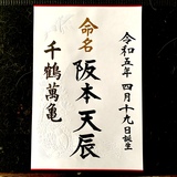 命名書