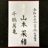 命名書