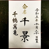 命名書