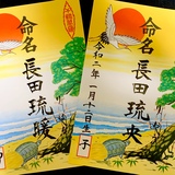 命名書