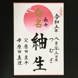 命名書