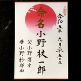 命名書