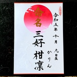 命名書