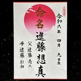 命名書