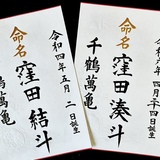 命名書